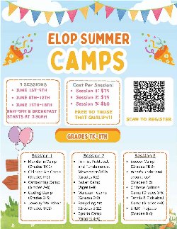 Summer Camp Flyer